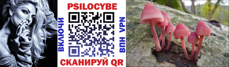 где купить наркоту гидра ссылка Галлюциногенные грибы MAGIC MUSHROOMS Альметьевск